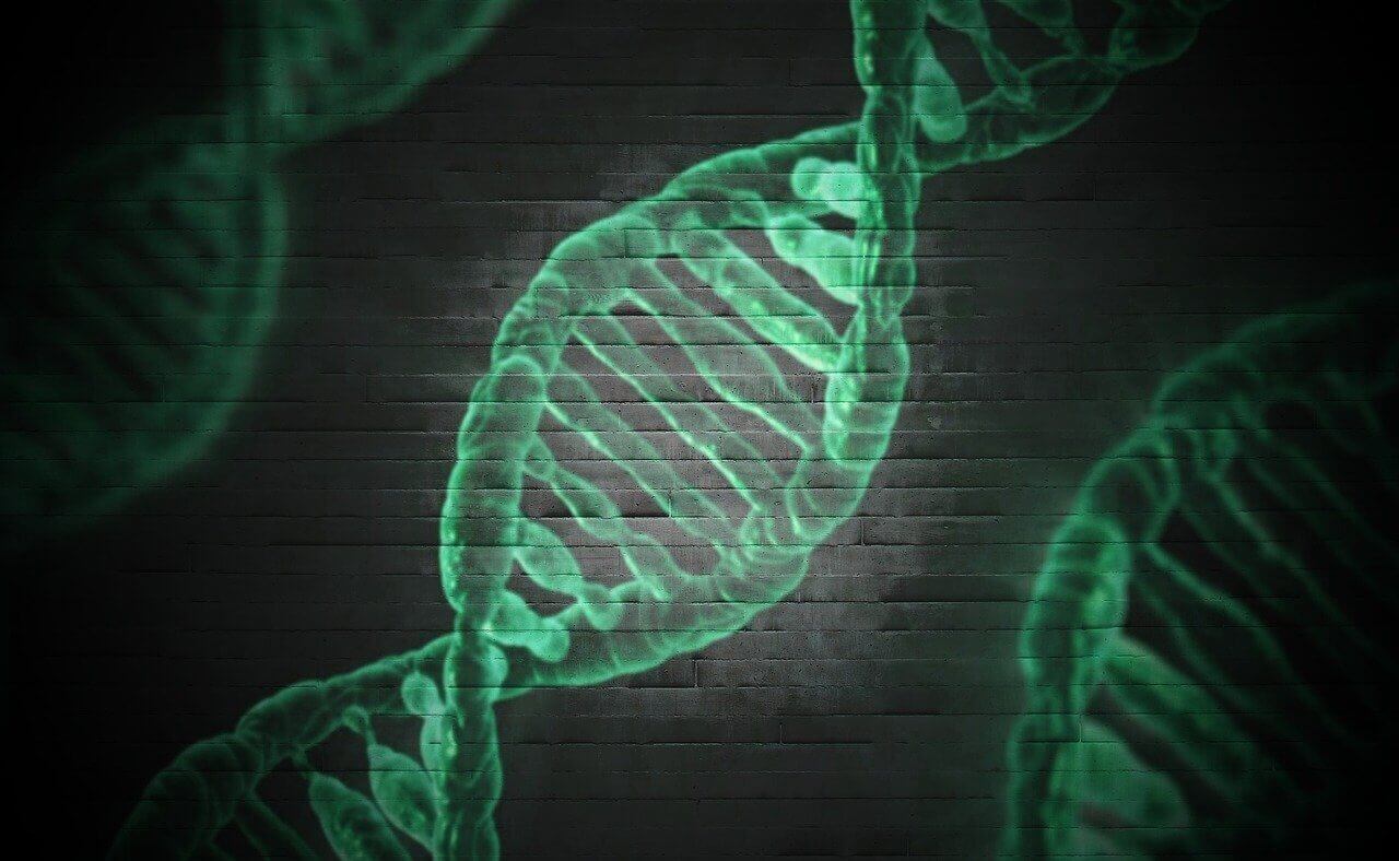 DNA Completo