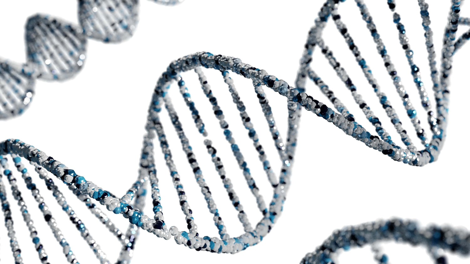Test del DNA