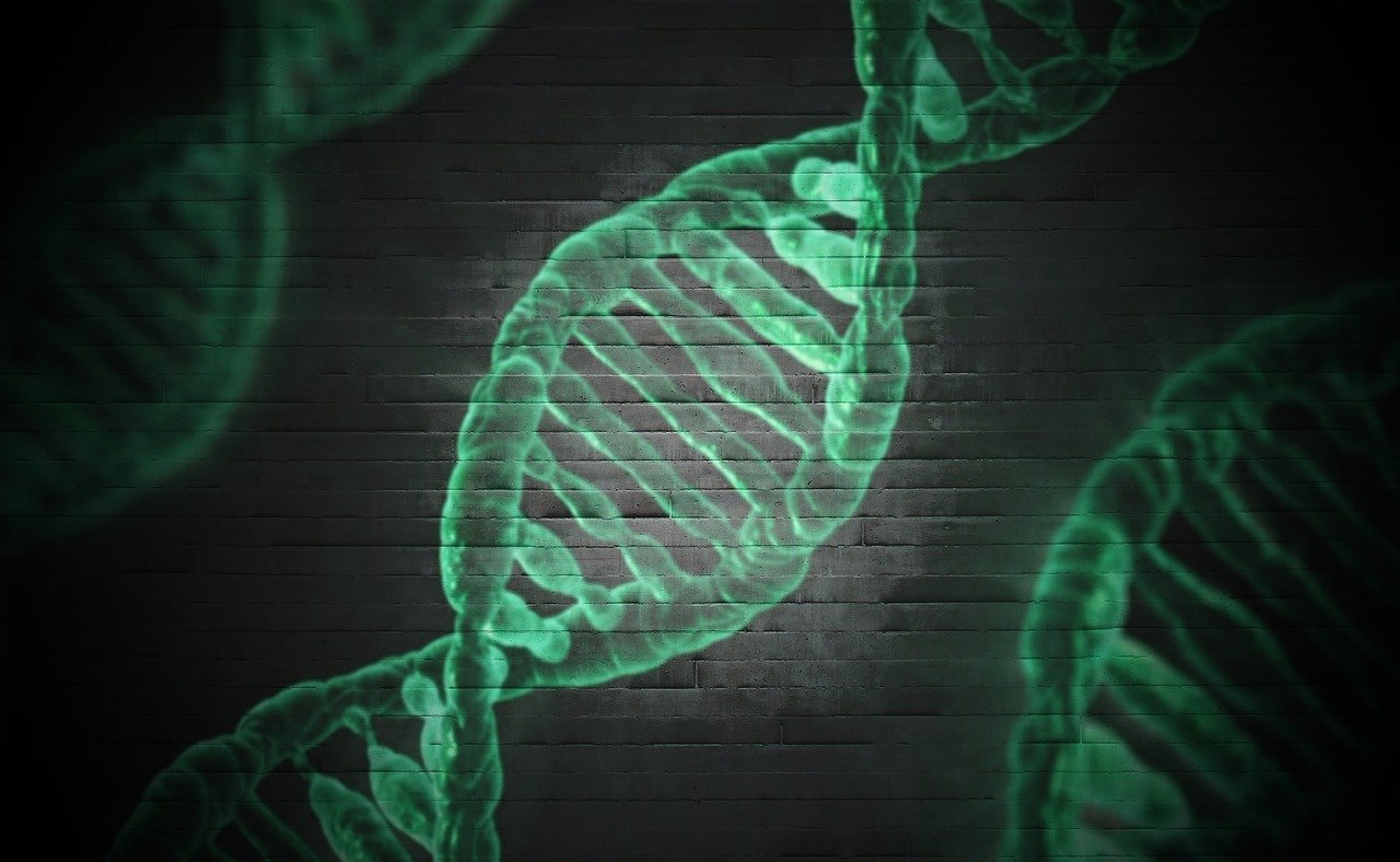DNA Completo