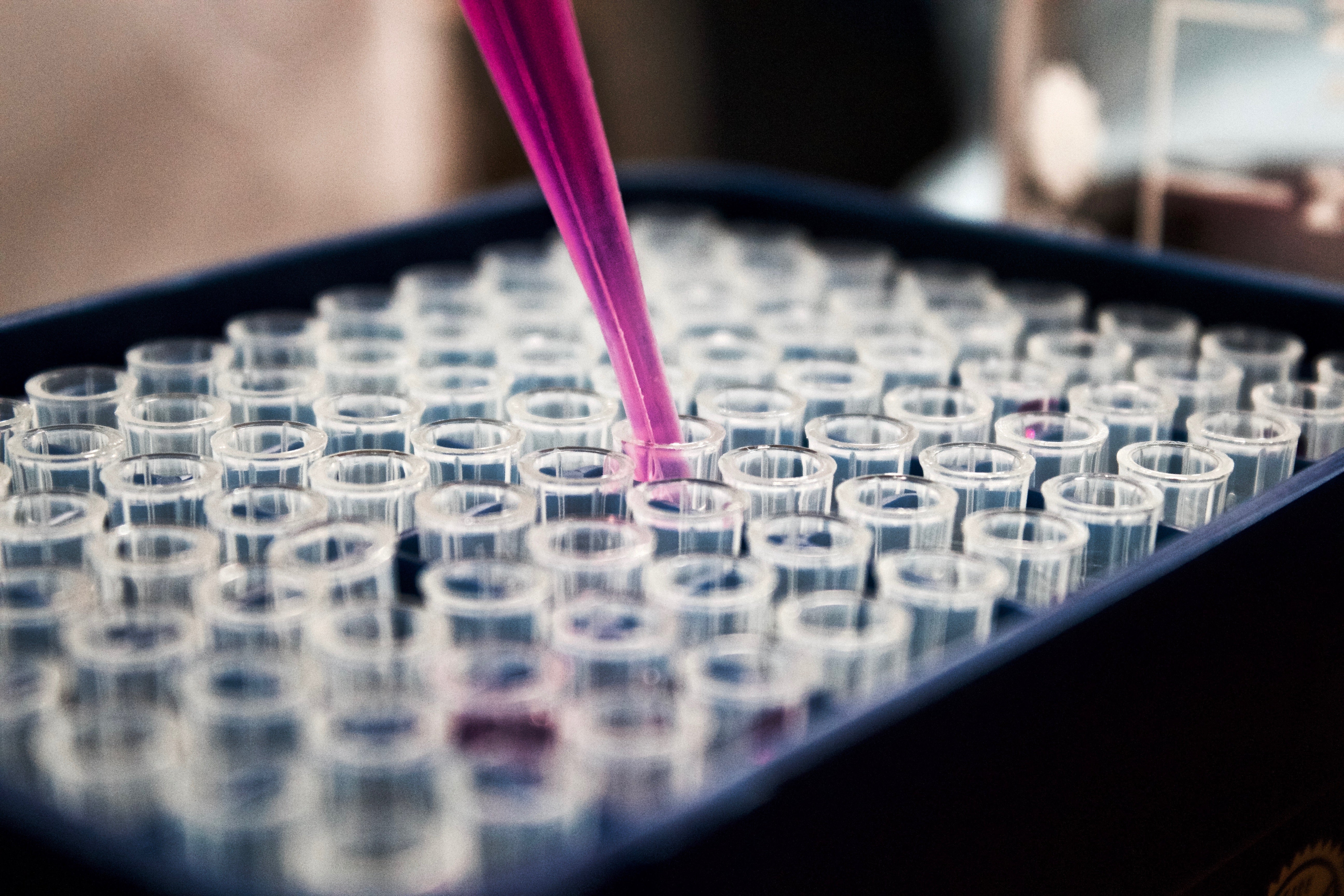 Test DNA intolleranze alimentari
