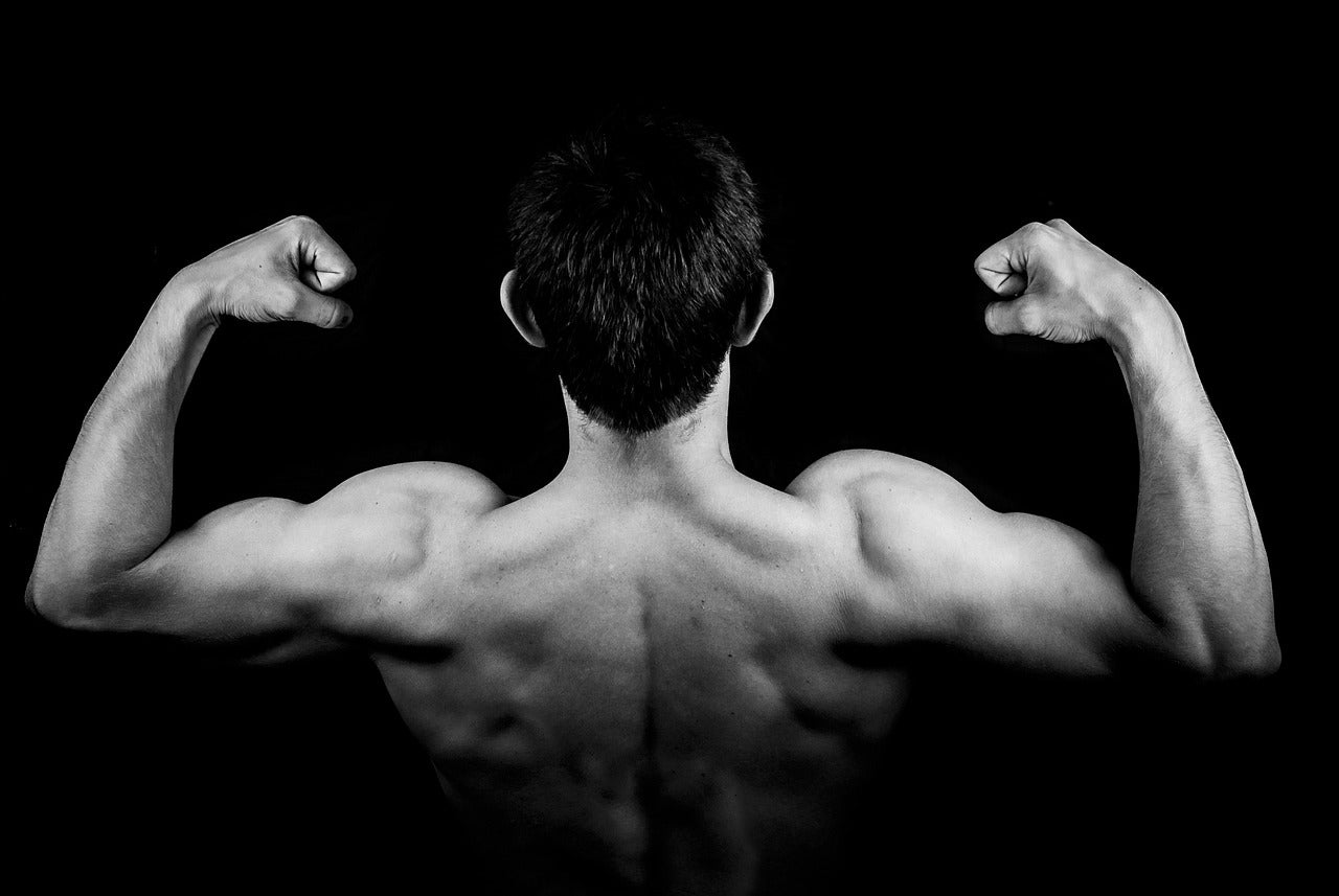 dieta e massa muscolare