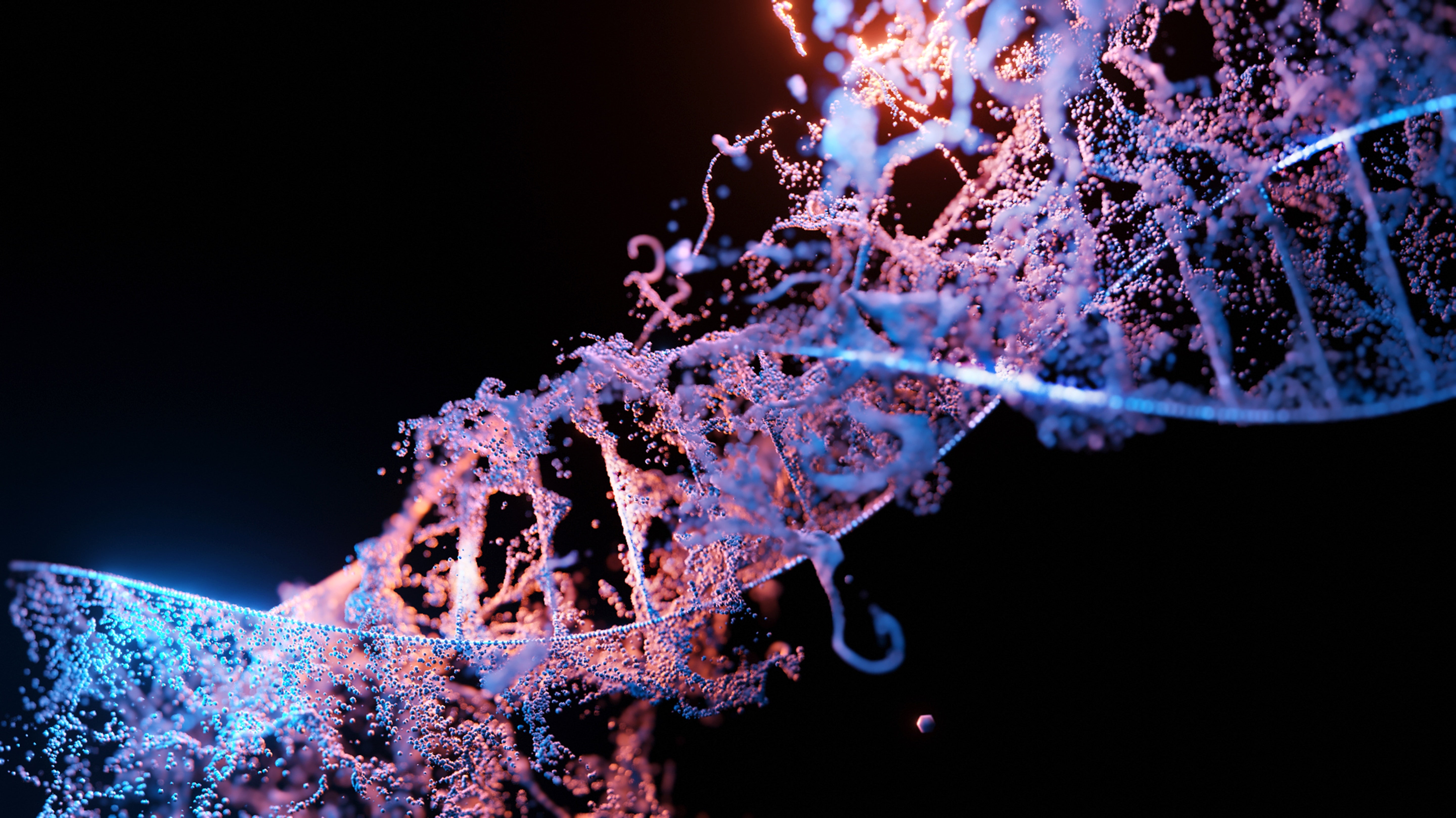 test dna online